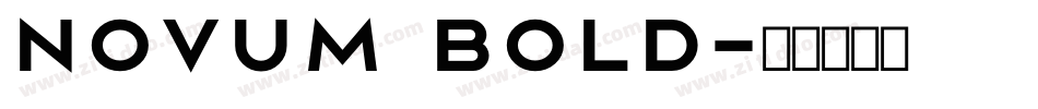 Novum Bold字体转换